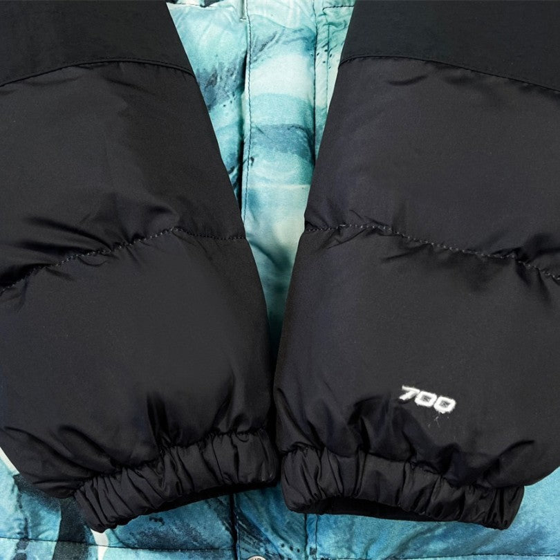 Jacket Supreme x The North Face Statue of Liberty TNF005