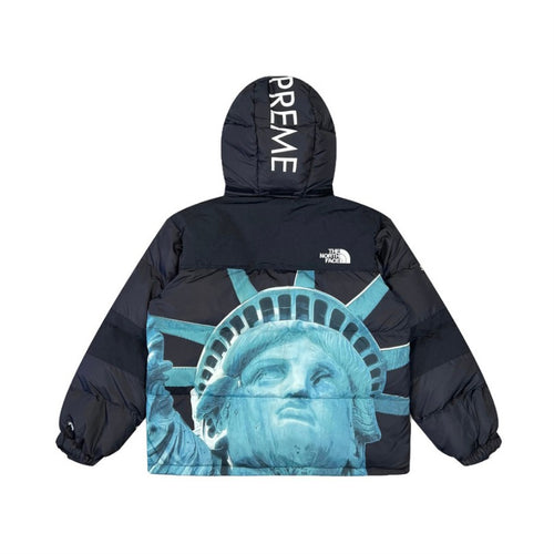Jacket Supreme x The North Face Statue of Liberty TNF005